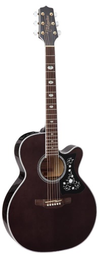 TAKAMINE GN75CE TBK